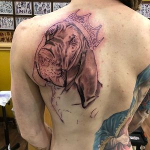 Meet your Posher, Tim